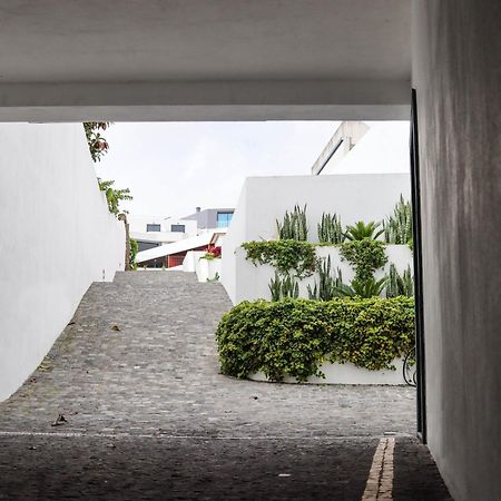 Sao Miguel Charming House By Lfc Apts Ponta Delgada Dış mekan fotoğraf